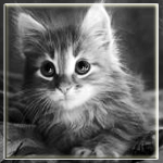 Название: kitty Размер: 25.1Kb